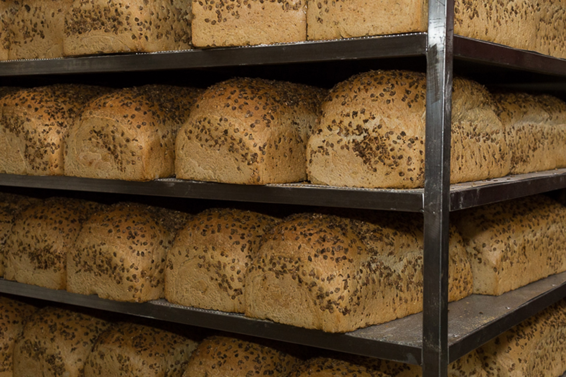 AFR-Galaxi-produzione-4