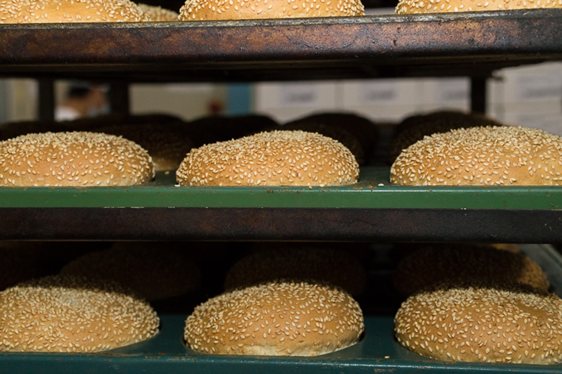 AFR-Galaxi-produzione-5